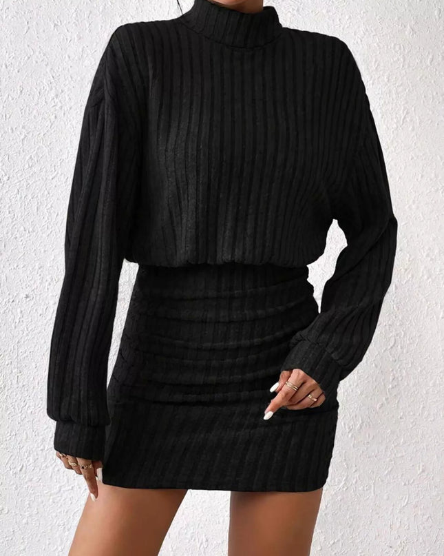 Ribbed Turtleneck Long Sleeve Sweater Dress Black