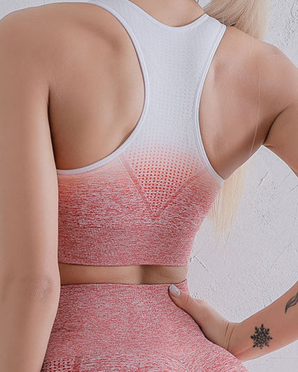 Gradient Sports Bra and Leggings Set 