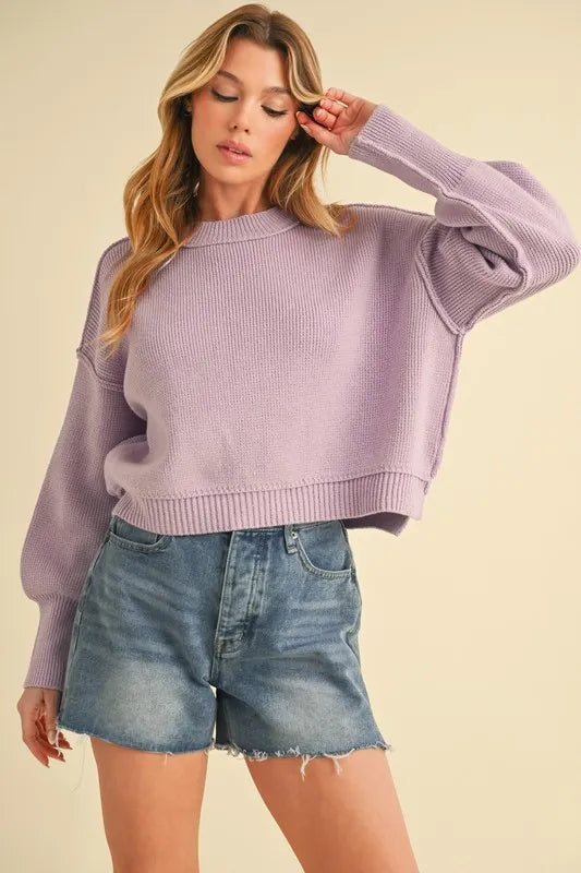 Aemi+Co Ribbed Hem Exposed Seam Round Neck Sweater LILAC