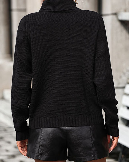 Turtle Neck Tassel Front Long Sleeve Pullover Sweater