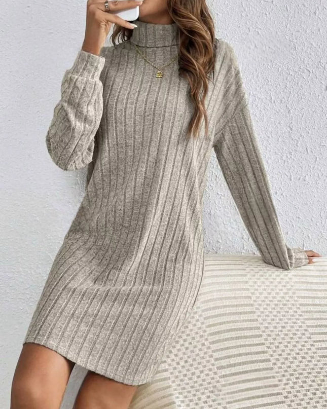 Casual Ribbed Turtleneck Long Sleeve Mini Dress