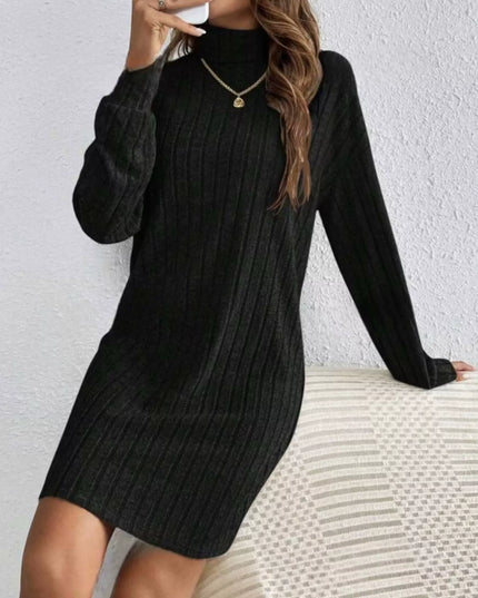 Casual Ribbed Turtleneck Long Sleeve Mini Dress