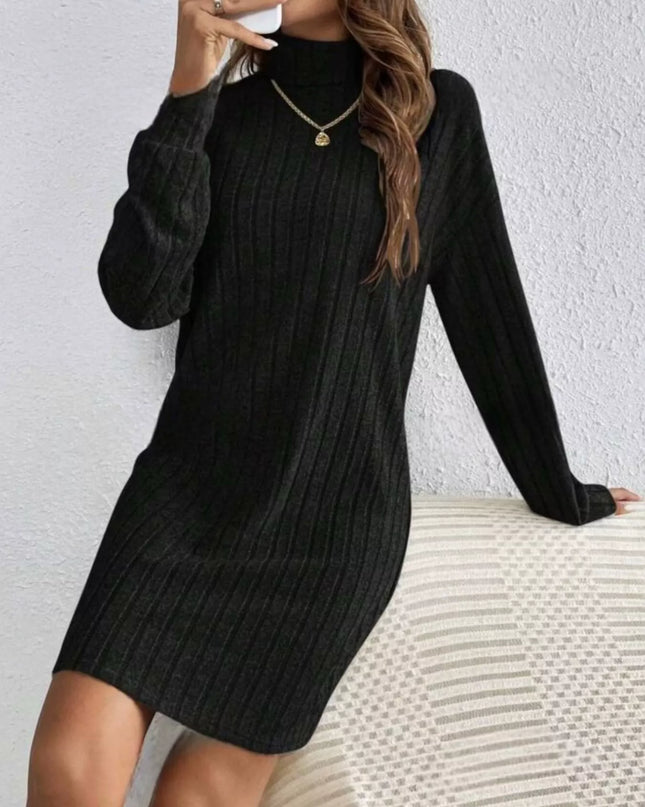 Casual Ribbed Turtleneck Long Sleeve Mini Dress