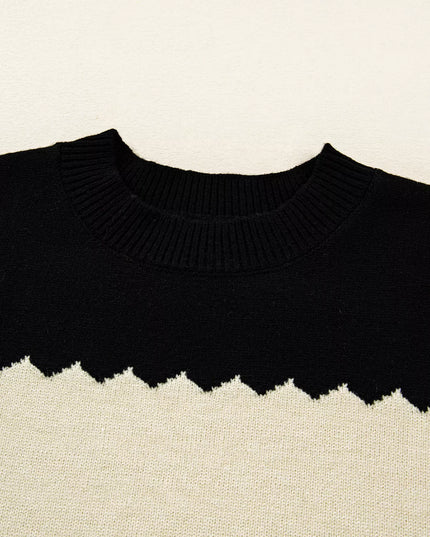 Color Block Crew Neck Drop Shoulder Sweater