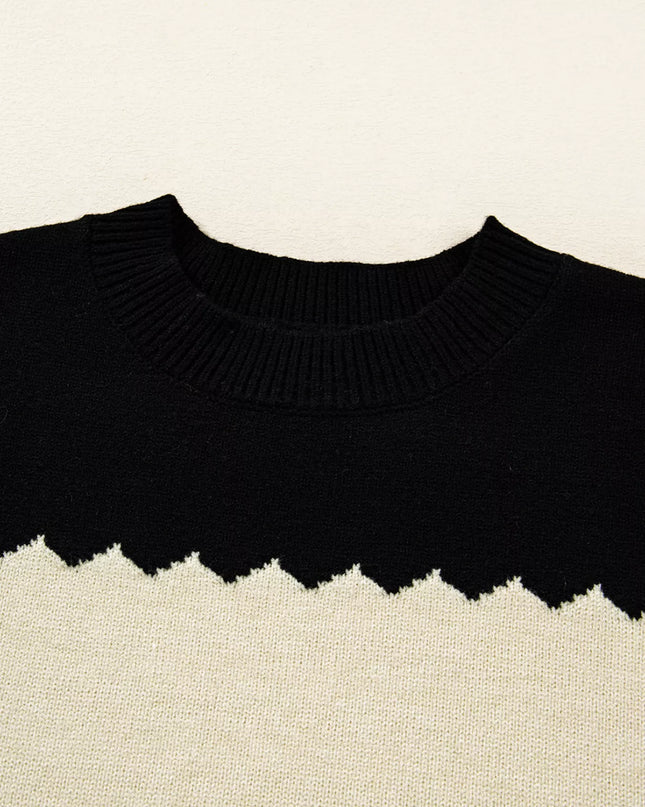 Color Block Crew Neck Drop Shoulder Sweater