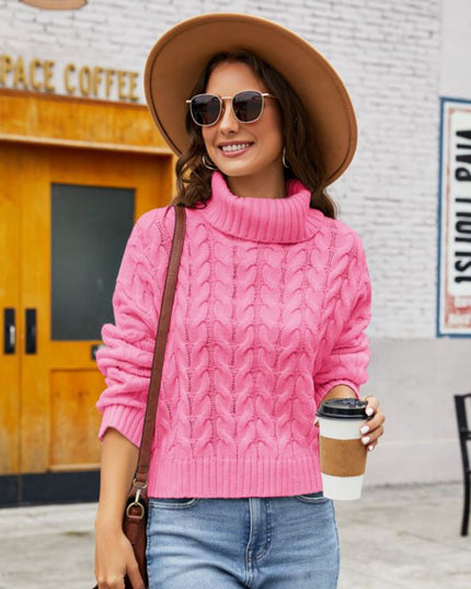 Turtle Neck Cable-Knit Sweater