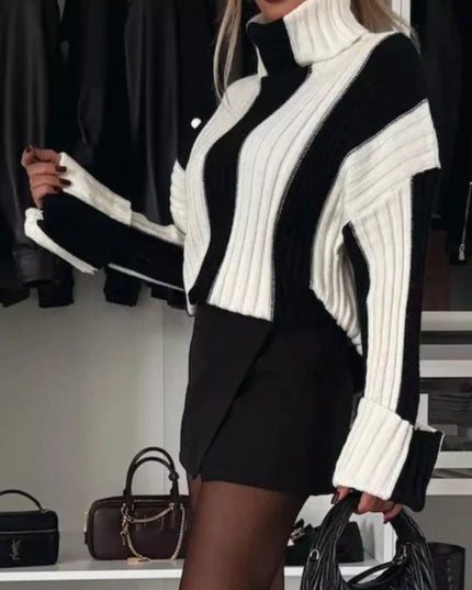 Color Block Ribbed Turtleneck Sweater