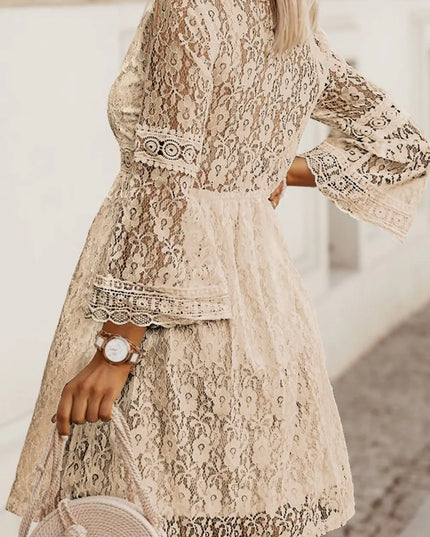 Lace V-Neck Three-Quarter Sleeve Dress