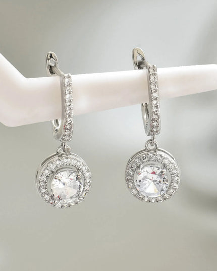 Stainless Steel Zircon Drop Earrings