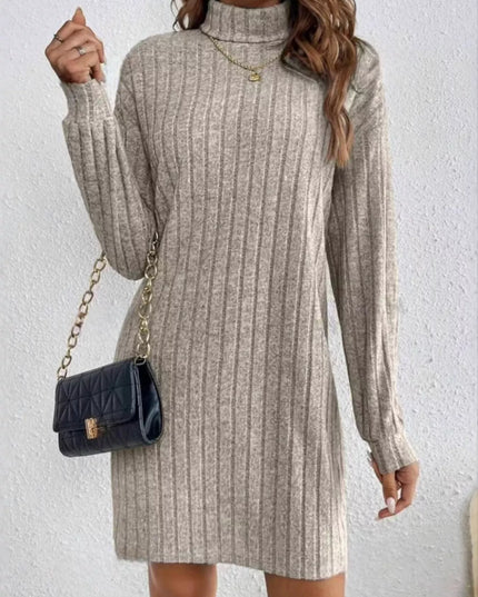 Casual Ribbed Turtleneck Long Sleeve Mini Dress