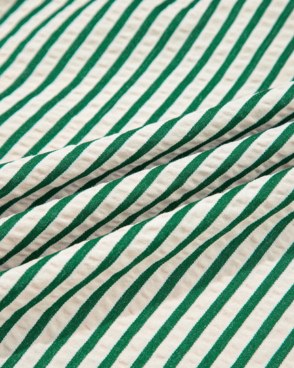 Stripe V Neck Zip Front Cinched High Waist Midi Dress