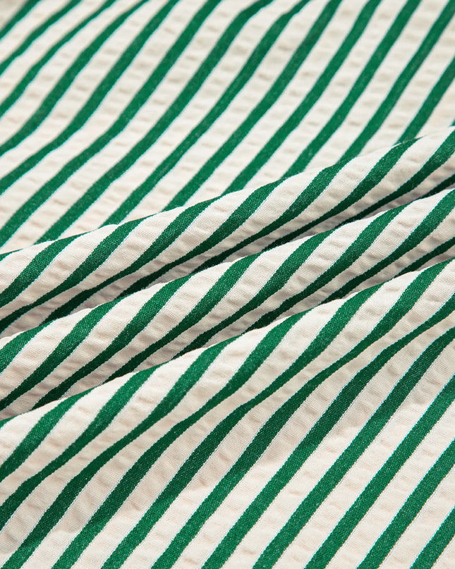 Stripe V Neck Zip Front Cinched High Waist Midi Dress