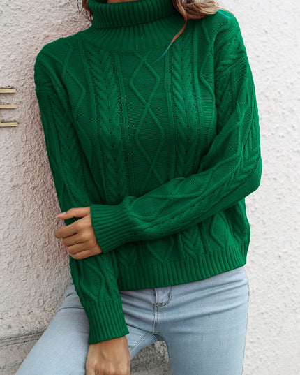 Turtleneck Long Sleeve Sweater