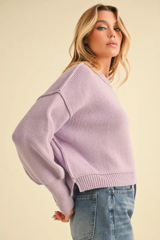 Aemi+Co Ribbed Hem Exposed Seam Round Neck Sweater