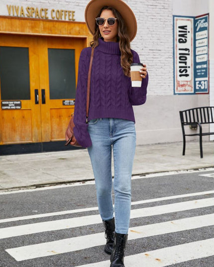 Turtle Neck Cable-Knit Sweater