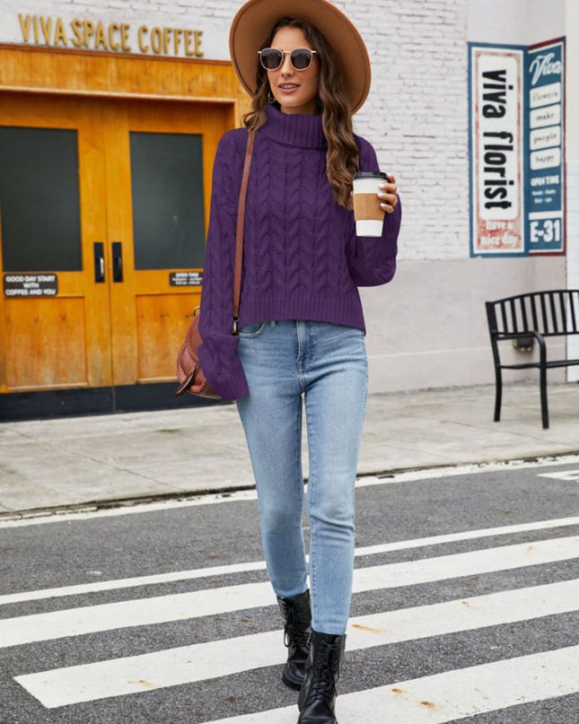 Turtle Neck Cable-Knit Sweater