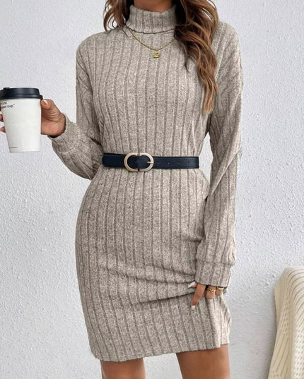 Casual Ribbed Turtleneck Long Sleeve Mini Dress