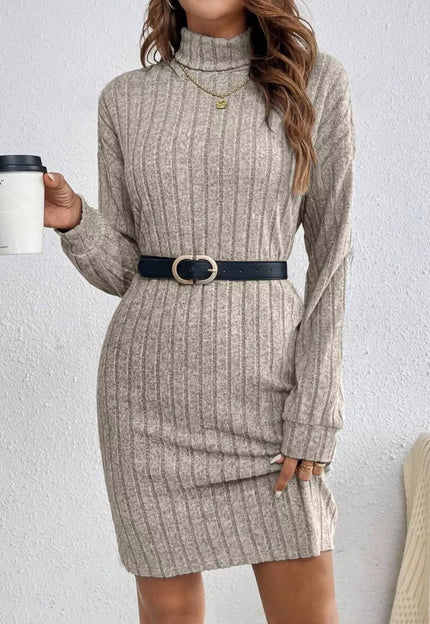 Casual Ribbed Turtleneck Long Sleeve Mini Dress