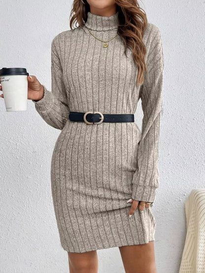 Casual Ribbed Turtleneck Long Sleeve Mini Dress