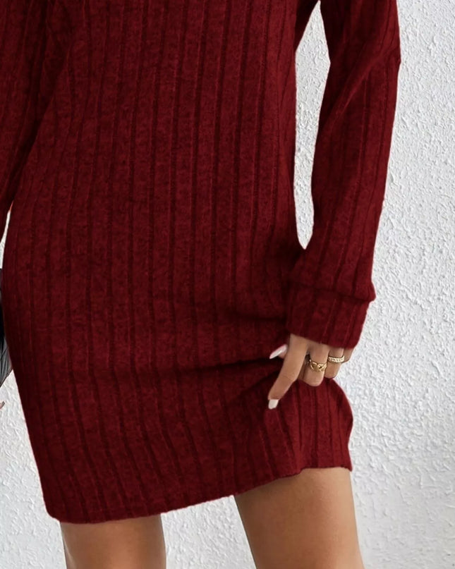 Casual Ribbed Turtleneck Long Sleeve Mini Dress