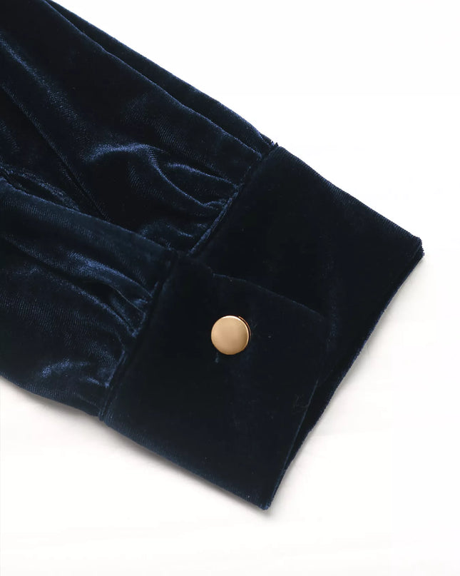 Velvet Button Front Long Sleeve Blouse