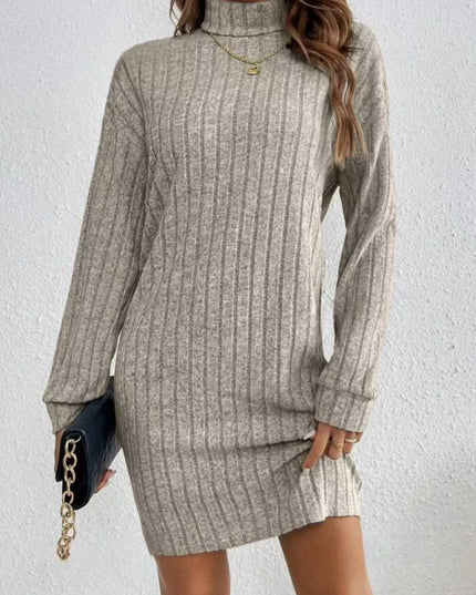 Casual Ribbed Turtleneck Long Sleeve Mini Dress