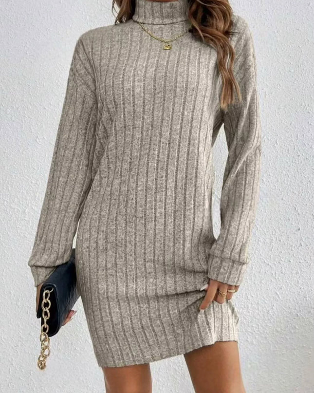 Casual Ribbed Turtleneck Long Sleeve Mini Dress