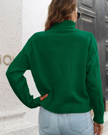 Turtleneck Long Sleeve Sweater