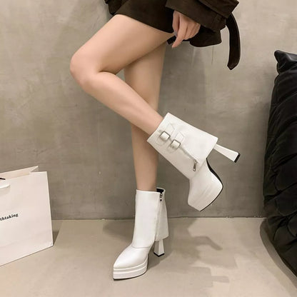 Point Toe High Heels Boots