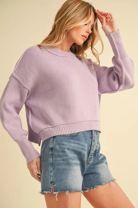 Aemi+Co Ribbed Hem Exposed Seam Round Neck Sweater