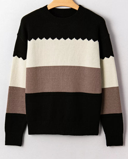 Color Block Crew Neck Drop Shoulder Sweater