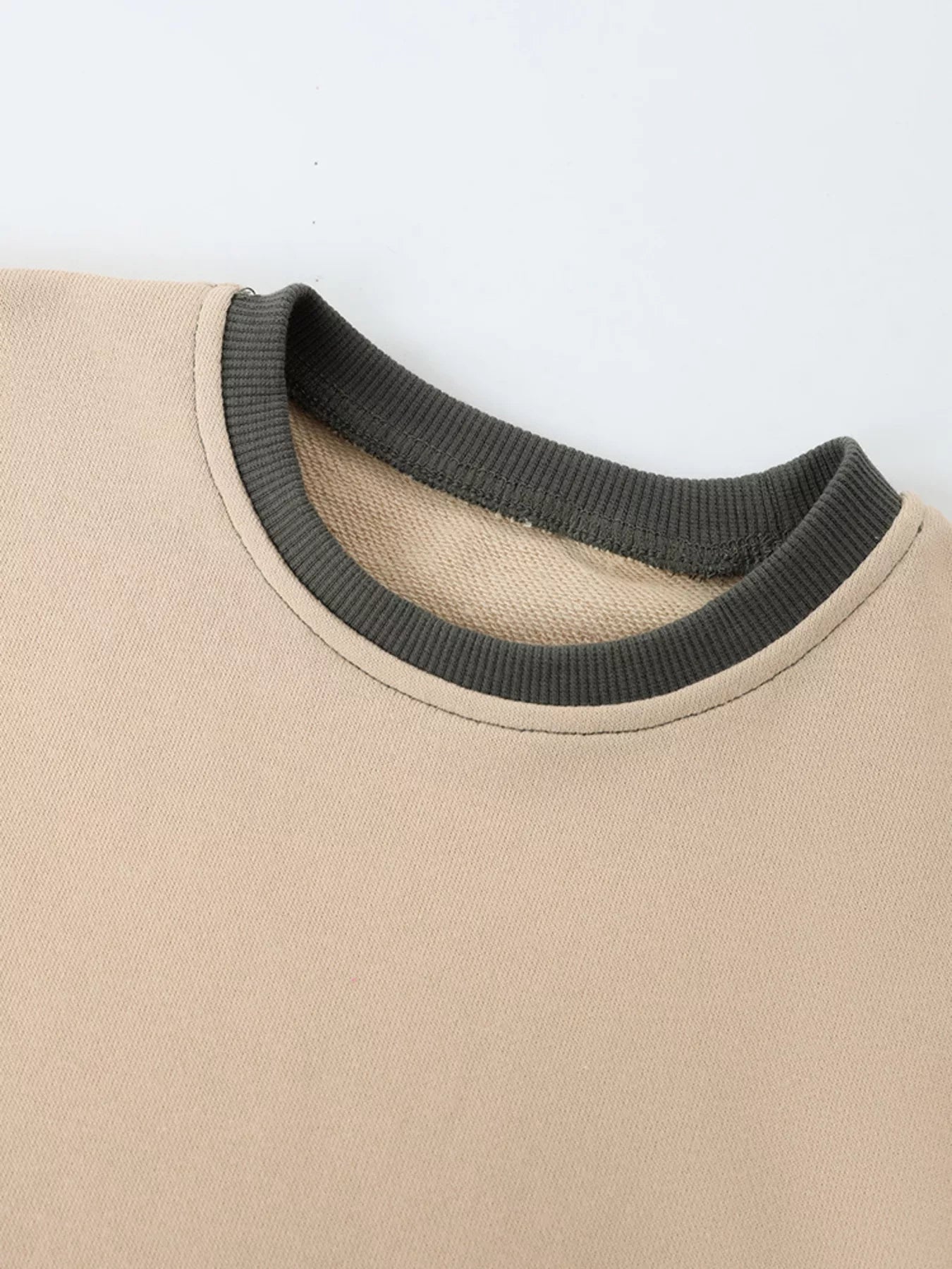 Children's Dinosaur Crew Neck Sweatshirt