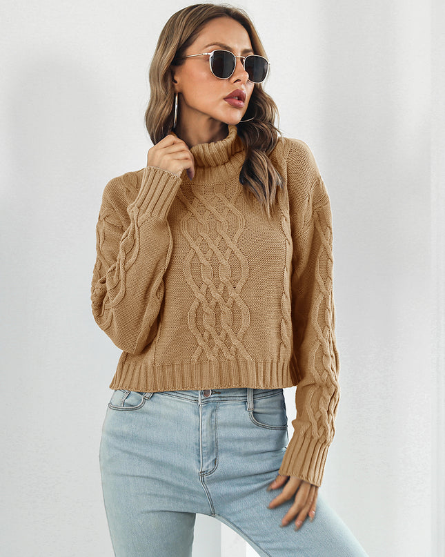 Turtleneck Dropped Shoulder Sweater
