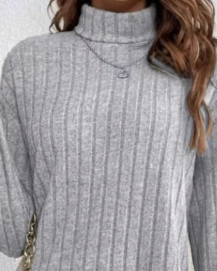 Casual Ribbed Turtleneck Long Sleeve Mini Dress
