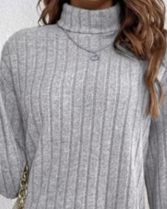 Casual Ribbed Turtleneck Long Sleeve Mini Dress