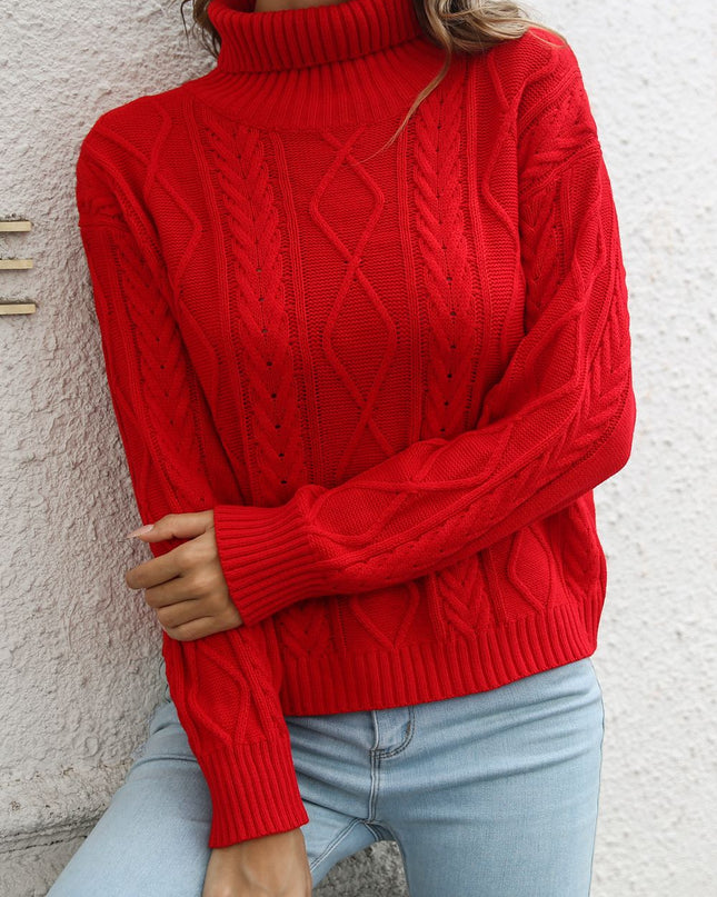Turtleneck Long Sleeve Sweater