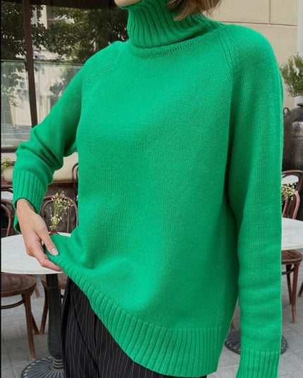Turtle Neck Raglan Sleeve Sweater