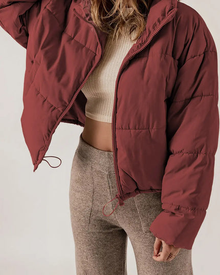 Zip Up Collared Neck Long Sleeve Winter Coat