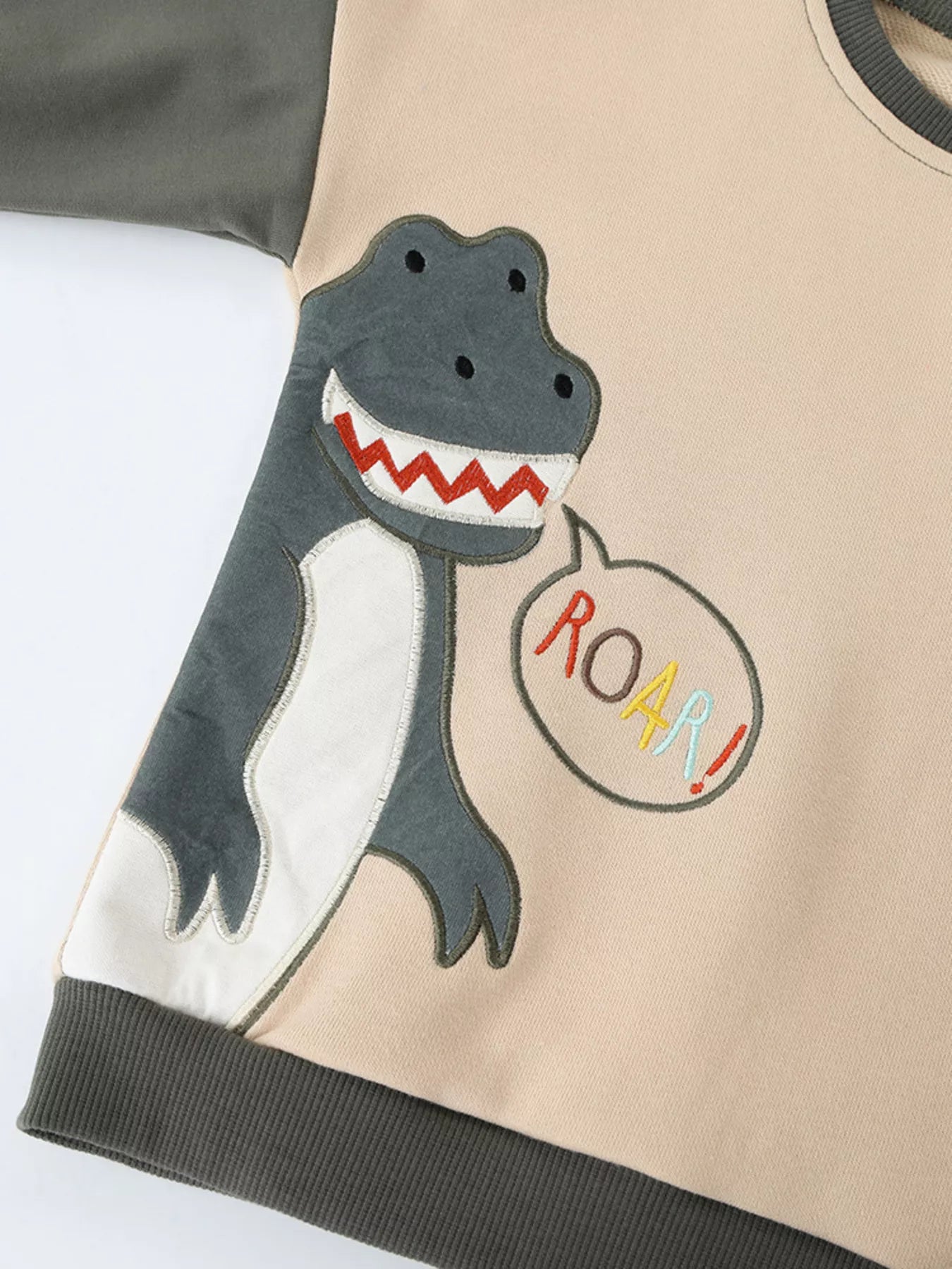 Children's Dinosaur Crew Neck Sweatshirt