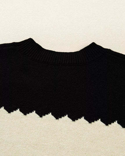 Color Block Crew Neck Drop Shoulder Sweater