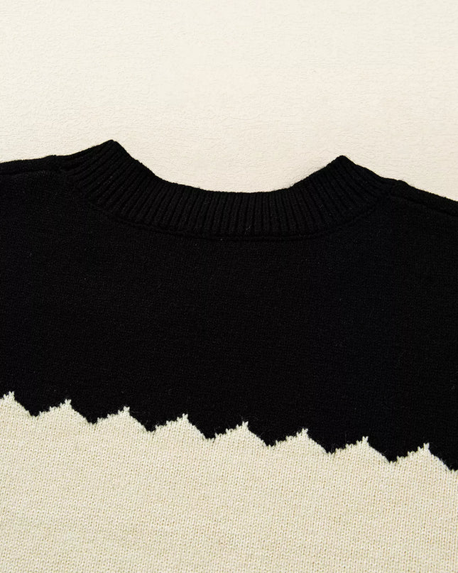 Color Block Crew Neck Drop Shoulder Sweater