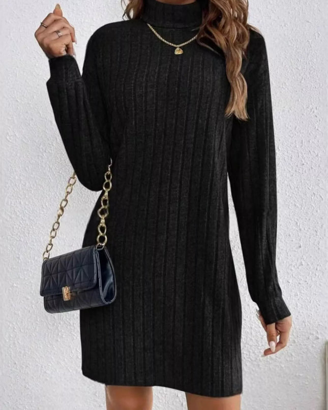 Casual Ribbed Turtleneck Long Sleeve Mini Dress Black