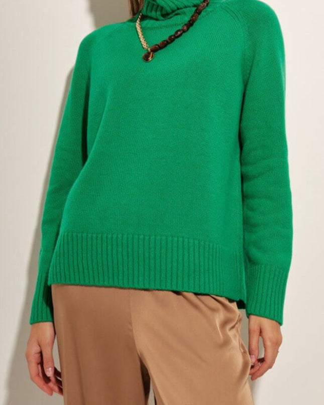 Turtle Neck Raglan Sleeve Sweater