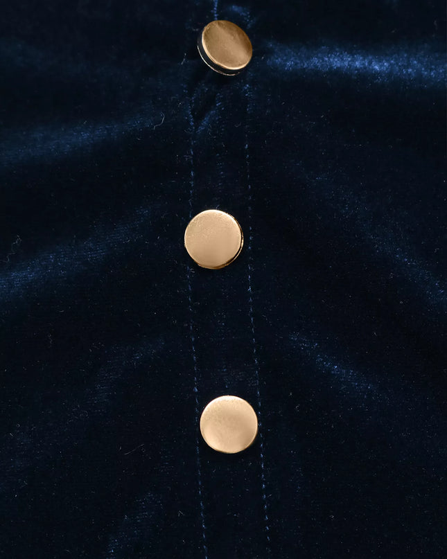 Velvet Button Front Long Sleeve Blouse