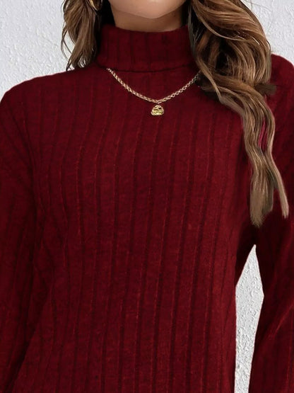 Casual Ribbed Turtleneck Long Sleeve Mini Dress