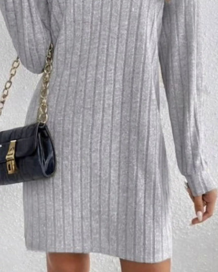 Casual Ribbed Turtleneck Long Sleeve Mini Dress