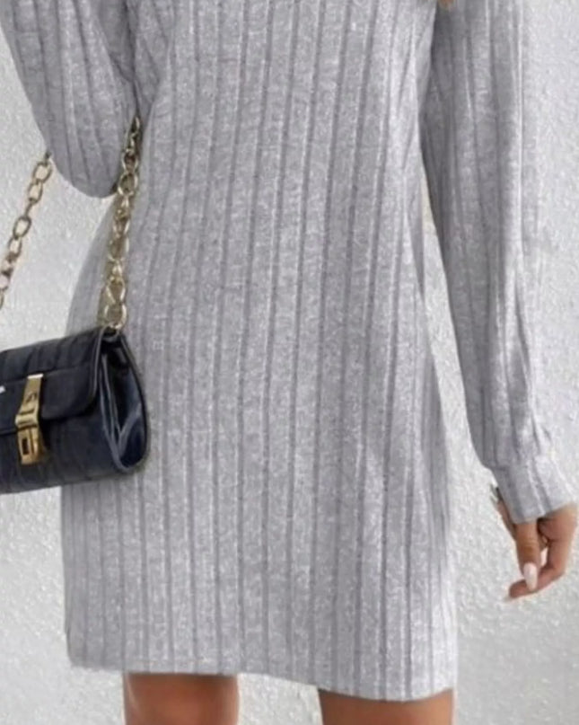 Casual Ribbed Turtleneck Long Sleeve Mini Dress