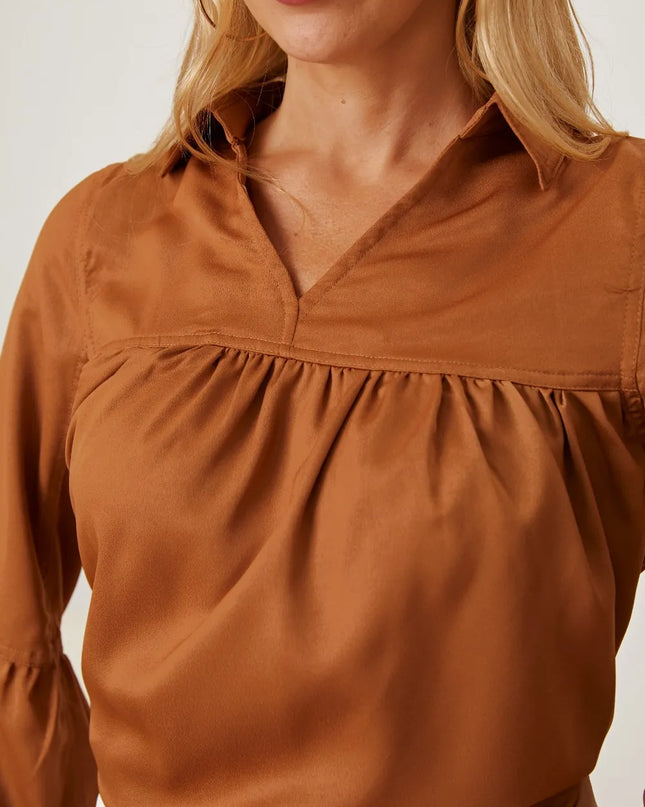 Balloon Sleeve Collared Neck Blouse
