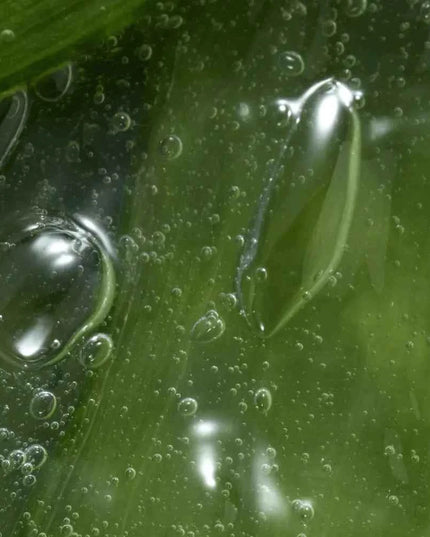 Smoothing Shaving Gel with Aloe Vera